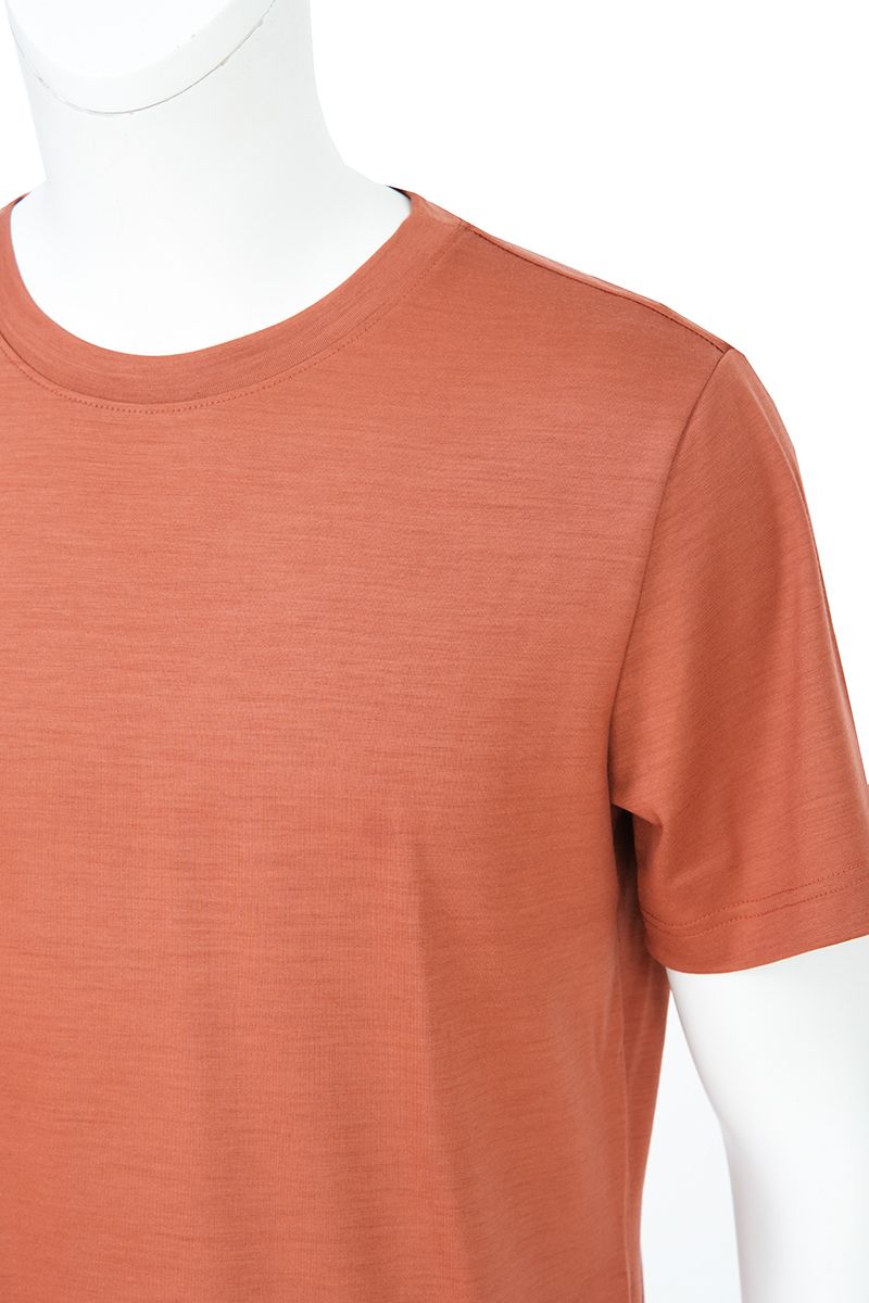 THEODORE The Maratea Rust Wool Crew-Neck T-Shirt, view 2 of 5
