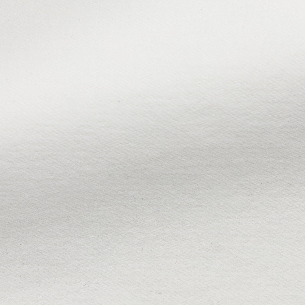Off White Moleskin Stretch Pants, close-up of the moleskin fabric weave