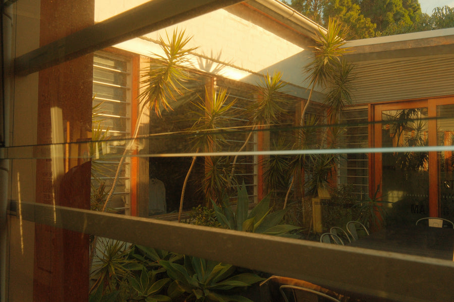 The courtyard between the studio and the back office